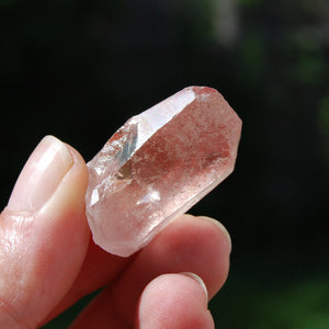 Pink Lemurian Seed Quartz Crystal Starbrary, Serra do Cabral, Brazil