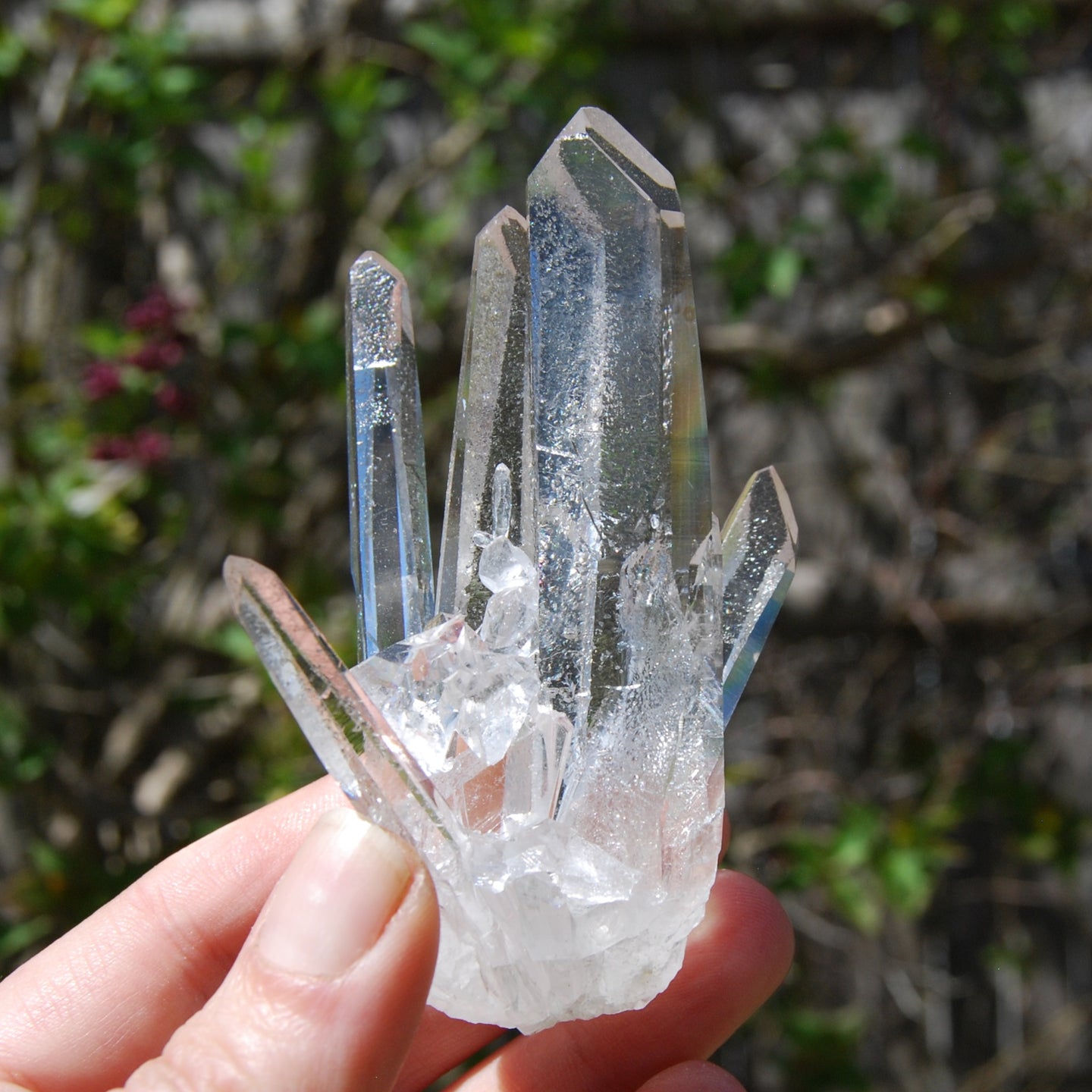 Cosmic Dow Channeler Lemurian Silver Quartz Crystal Starbrary Cluster Optical Corinto, Brazil