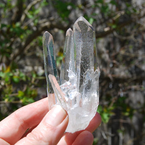 Cosmic Dow Channeler Lemurian Silver Quartz Crystal Starbrary Cluster Optical Corinto, Brazil