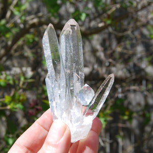 Cosmic Dow Channeler Lemurian Silver Quartz Crystal Starbrary Cluster Optical Corinto, Brazil