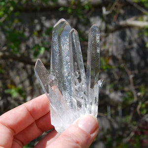 Cosmic Dow Channeler Lemurian Silver Quartz Crystal Starbrary Cluster Optical Corinto, Brazil