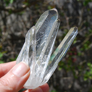 Cosmic Dow Channeler Lemurian Silver Quartz Crystal Starbrary Cluster Optical Corinto, Brazil