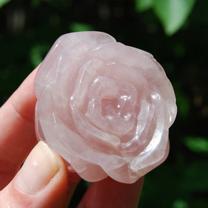 Rose Quartz Carved Crystal Rose