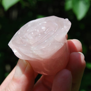 Rose Quartz Carved Crystal Rose