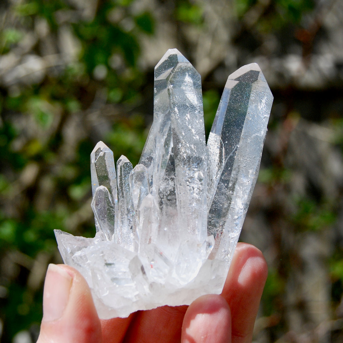 Cosmic Isis Face Channeler Lemurian Silver Quartz Crystal Starbrary Cluster Record Keepers Optical Corinto, Brazil