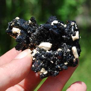 Black Tourmaline Crystal Flower Cluster Floater, Erongo, Namibia