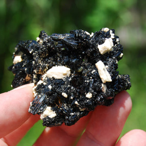 Black Tourmaline Crystal Flower Cluster Floater, Erongo, Namibia