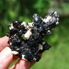 Load image into Gallery viewer, Black Tourmaline Crystal Flower Cluster Floater, Erongo, Namibia
