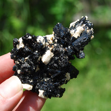 Load image into Gallery viewer, Black Tourmaline Crystal Flower Cluster Floater, Erongo, Namibia
