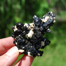 Load image into Gallery viewer, Black Tourmaline Crystal Flower Cluster Floater, Erongo, Namibia
