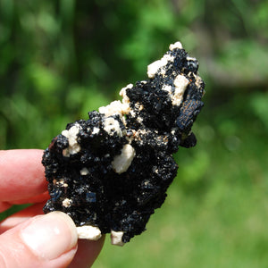 Black Tourmaline Crystal Flower Cluster Floater, Erongo, Namibia