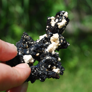 Black Tourmaline Crystal Flower Cluster Floater, Erongo, Namibia