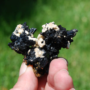 Black Tourmaline Crystal Flower Cluster Floater, Namibia