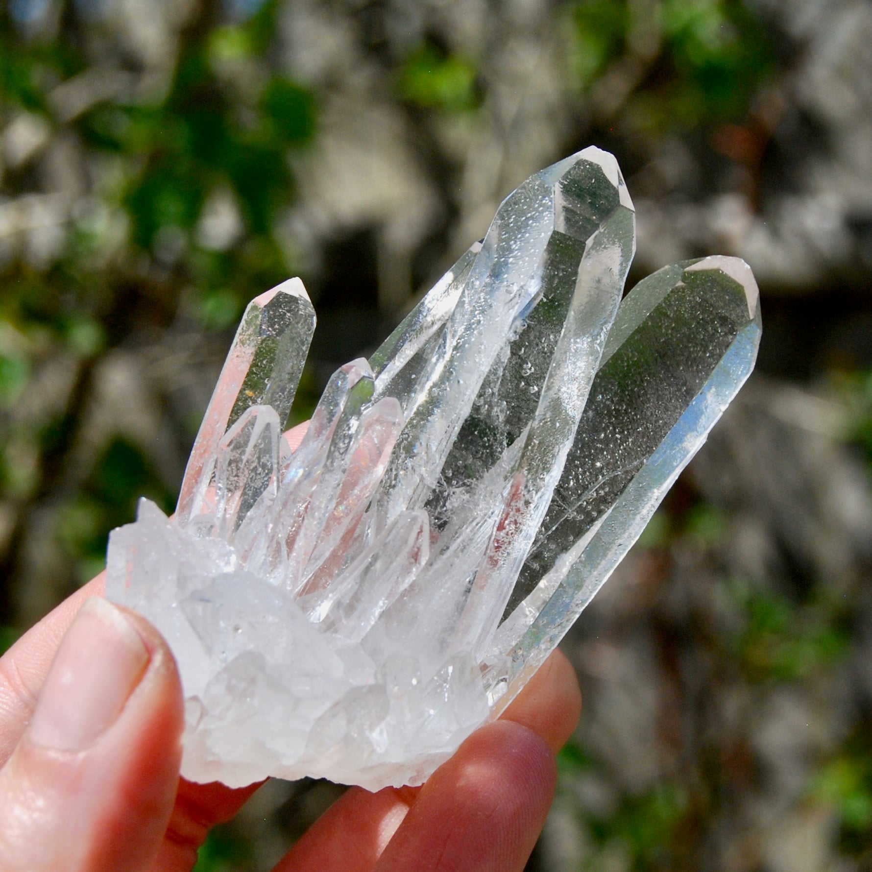 Cosmic Isis Face Channeler Lemurian Silver Quartz Crystal Starbrary Cluster Record Keepers Optical Corinto, Brazil
