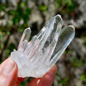 Cosmic Isis Face Channeler Lemurian Silver Quartz Crystal Starbrary Cluster Record Keepers Optical Corinto, Brazil