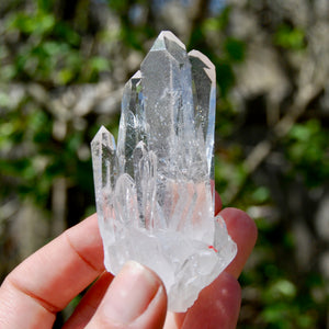 Cosmic Isis Face Channeler Lemurian Silver Quartz Crystal Starbrary Cluster Record Keepers Optical Corinto, Brazil