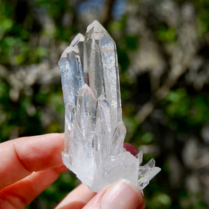 Cosmic Isis Face Channeler Lemurian Silver Quartz Crystal Starbrary Cluster Record Keepers Optical Corinto, Brazil