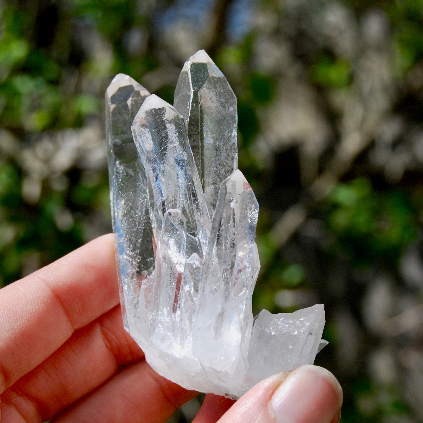 Cosmic Isis Face Channeler Lemurian Silver Quartz Crystal Starbrary Cluster Record Keepers Optical Corinto, Brazil