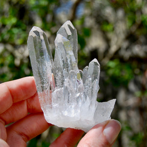 Cosmic Isis Face Channeler Lemurian Silver Quartz Crystal Starbrary Cluster Record Keepers Optical Corinto, Brazil