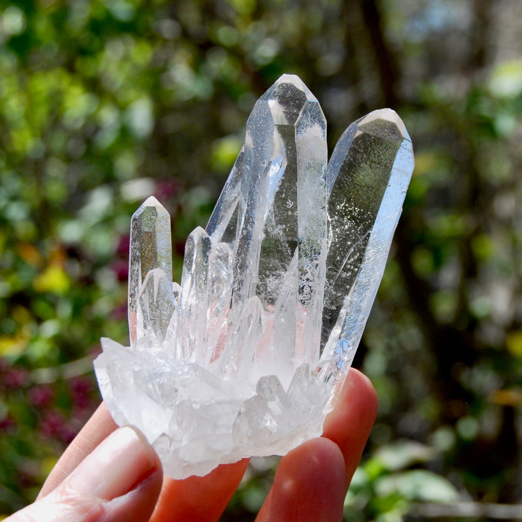 Cosmic Isis Face Channeler Lemurian Silver Quartz Crystal Starbrary Cluster Record Keepers Optical Corinto, Brazil