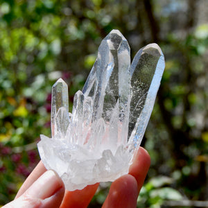 Cosmic Isis Face Channeler Lemurian Silver Quartz Crystal Starbrary Cluster Record Keepers Optical Corinto, Brazil