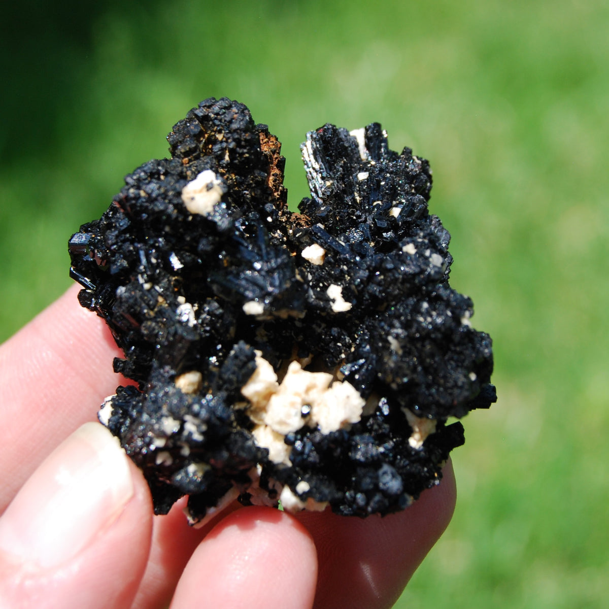 Black Tourmaline Crystal Flower Cluster Floater