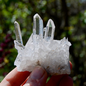 Cosmic Dow Channeler Lemurian Silver Quartz Crystal Starbrary Cluster Optical Corinto, Brazil