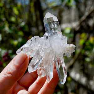 Cosmic Record Keeper Lemurian Silver Quartz Crystal Starburst Cluster DT Channeler Starbrary, Brazil