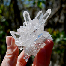 Load image into Gallery viewer, Cosmic Record Keeper Lemurian Silver Quartz Crystal Starburst Cluster DT Channeler Starbrary, Brazil
