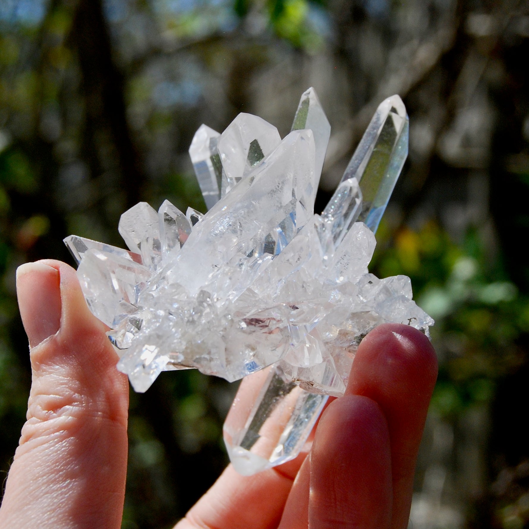 Cosmic Record Keeper Lemurian Silver Quartz Crystal Starburst Cluster DT Channeler Starbrary, Brazil