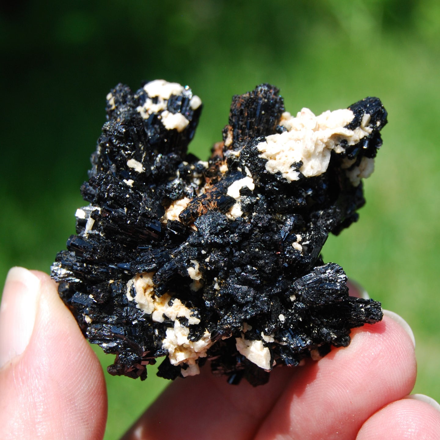 Black Tourmaline Crystal Flower Cluster Floater