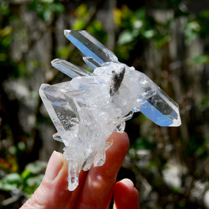 Cosmic Record Keeper Lemurian Silver Quartz Crystal Starburst Cluster DT Channeler Starbrary, Brazil