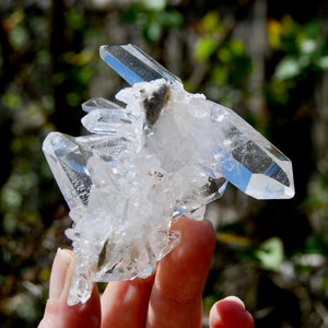 Cosmic Record Keeper Lemurian Silver Quartz Crystal Starburst Cluster DT Channeler Starbrary, Brazil