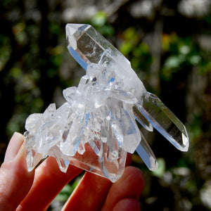 Cosmic Record Keeper Lemurian Silver Quartz Crystal Starburst Cluster DT Channeler Starbrary, Brazil