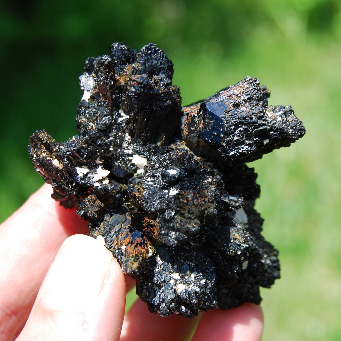 Black Tourmaline Crystal Flower Cluster Floater, Namibia