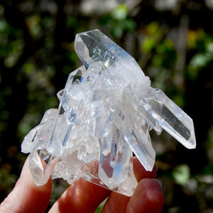 Cosmic Record Keeper Lemurian Silver Quartz Crystal Starburst Cluster DT Channeler Starbrary, Brazil