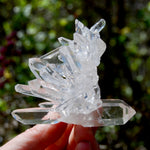 Cosmic Record Keeper Lemurian Silver Quartz Crystal Starburst Cluster DT Channeler Starbrary, Brazil