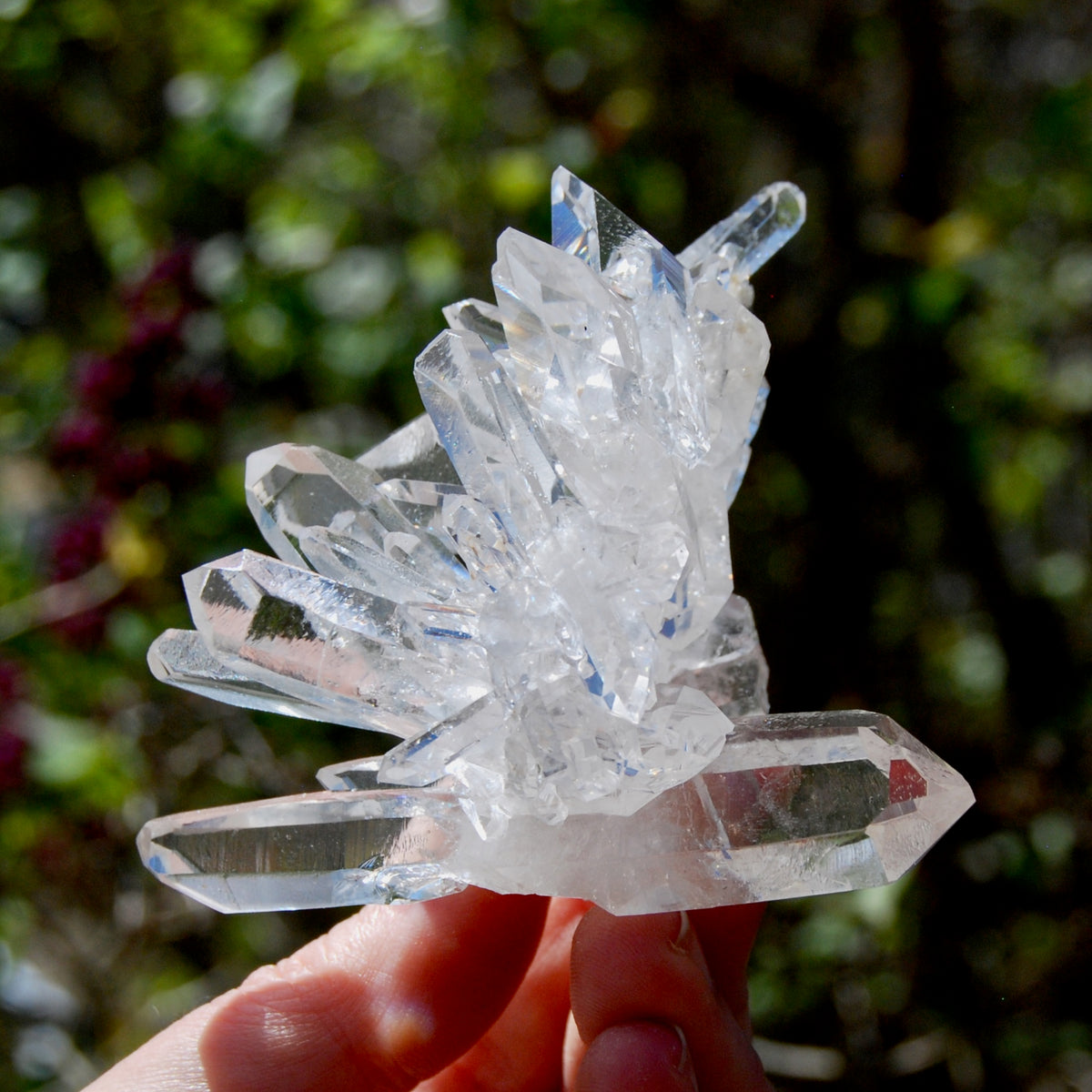 Cosmic Record Keeper Lemurian Silver Quartz Crystal Starburst Cluster DT Channeler Starbrary, Brazil