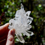 Cosmic Record Keeper Lemurian Silver Quartz Crystal Starburst Cluster DT Channeler Starbrary, Brazil
