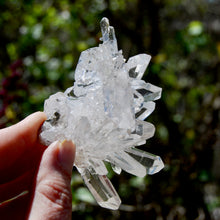 Load image into Gallery viewer, Cosmic Record Keeper Lemurian Silver Quartz Crystal Starburst Cluster DT Channeler Starbrary, Brazil
