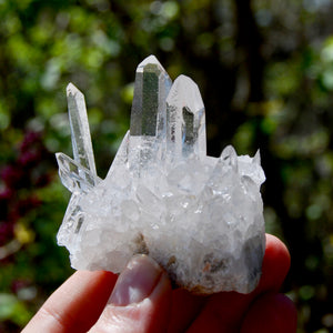 Cosmic Dow Channeler Lemurian Silver Quartz Crystal Starbrary Cluster Optical Corinto, Brazil