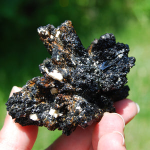 Black Tourmaline Crystal Flower Cluster Floater, Namibia