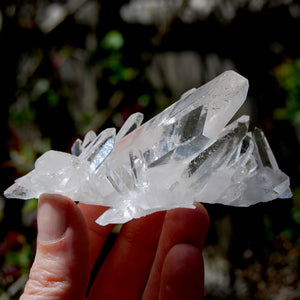 Cosmic Grounding Lemurian Silver Quartz Crystal Starbrary Cluster Optical Corinto, Brazil