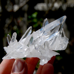 Cosmic Grounding Lemurian Silver Quartz Crystal Starbrary Cluster Optical Corinto, Brazil