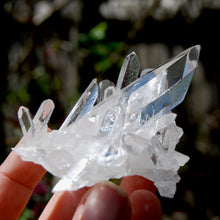 Load image into Gallery viewer, Cosmic Grounding Lemurian Silver Quartz Crystal Starbrary Cluster Optical Corinto, Brazil
