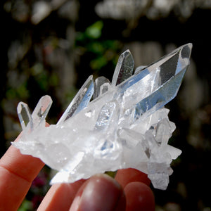 Cosmic Grounding Lemurian Silver Quartz Crystal Starbrary Cluster Optical Corinto, Brazil