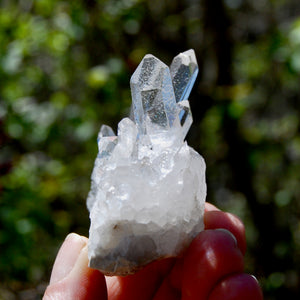 Cosmic Dow Channeler Lemurian Silver Quartz Crystal Starbrary Cluster Optical Corinto, Brazil