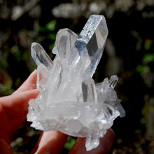 Load image into Gallery viewer, Cosmic Grounding Lemurian Silver Quartz Crystal Starbrary Cluster Optical Corinto, Brazil
