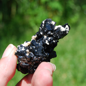 Black Tourmaline Crystal Flower Cluster Floater