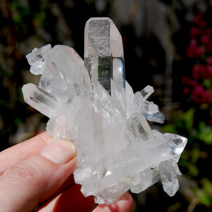 Cosmic Grounding Lemurian Silver Quartz Crystal Starbrary Cluster Optical Corinto, Brazil